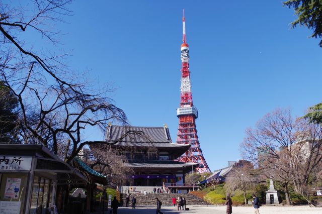 都心部の広々とした空間に見上げる東京タワー、解放感があります。