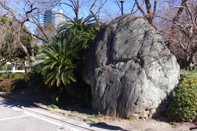 大きな岩があります。