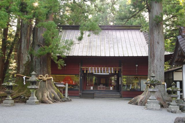 境内右手、巨木の元にが諏訪神社拝殿。