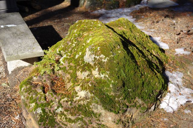 趣のある苔の生えた石。