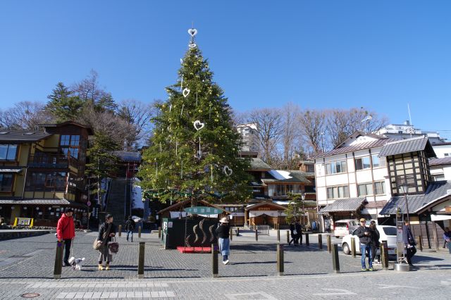広場の大きなツリー。左奥には日本温泉三大薬師の光泉寺、右に白旗の湯があります。