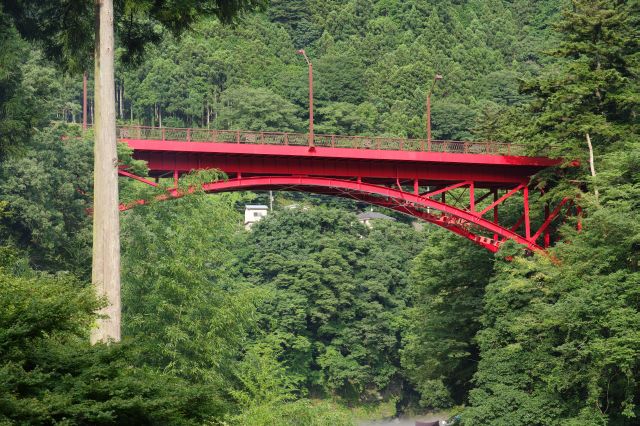 赤い橋は駅前道路から続く昭和橋。