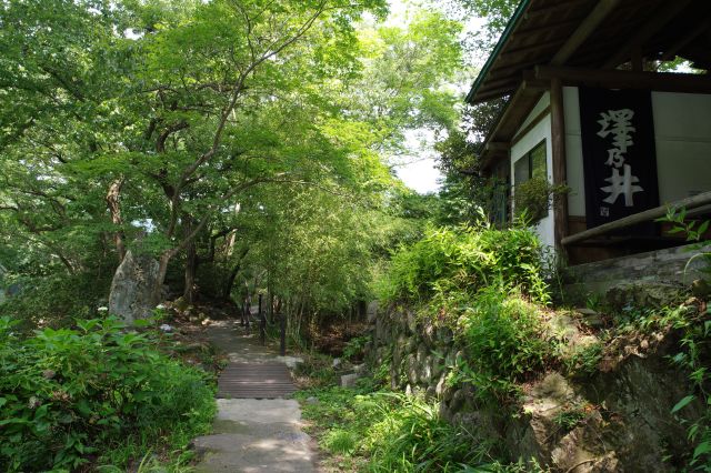 澤乃井園を横目に遊歩道を進みます。