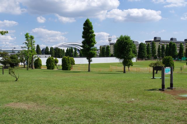 ディスクゴルフ場の芝生の奥には東京辰巳国際水泳場が見えます。