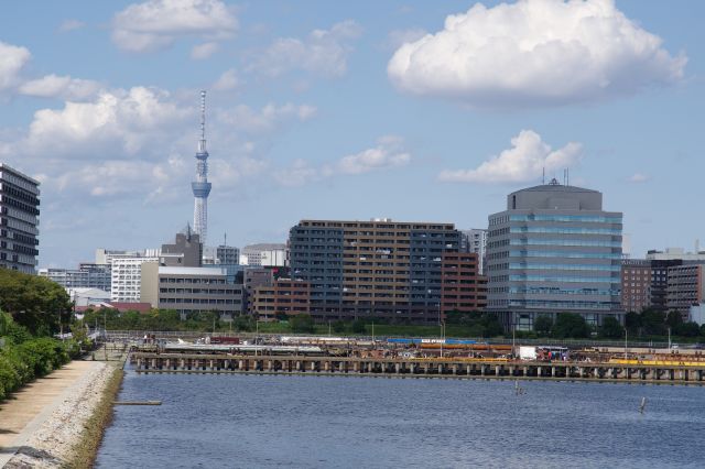 北側には東京スカイツリー。右の建物は潮見にあるドラマ「踊る大捜査線」の湾岸署。