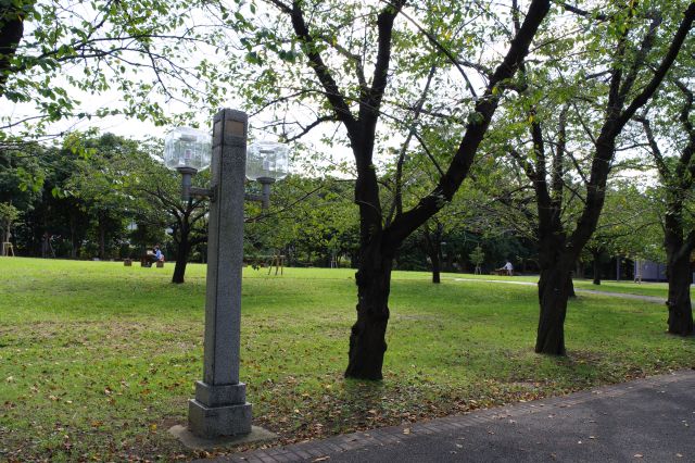 長い並木道沿いに広場がある心地よい公園です。