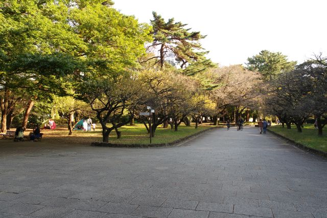 時計塔から南方向、周辺には野球場とサッカー場があります。