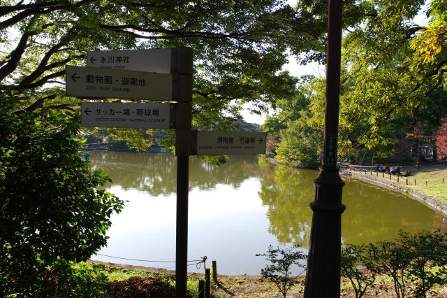 様々な施設がある大宮公園。弓道場方面へ向かいます。
