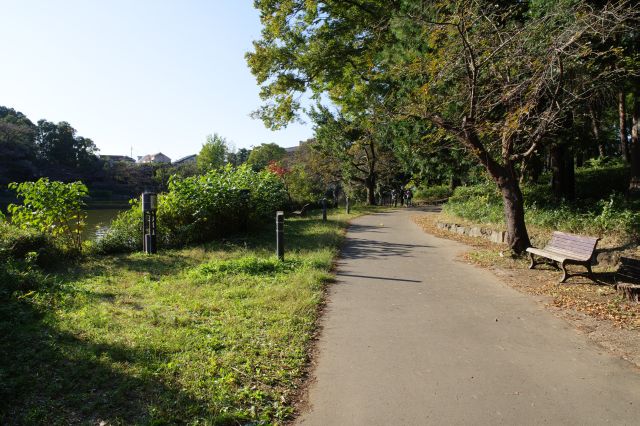 静かで穏やかな散策路です。