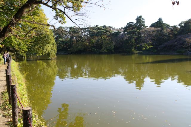 池の近くへ。日差しを浴びて穏やかな水面を眺める。