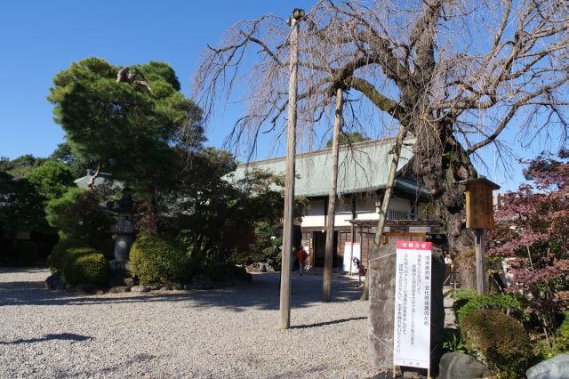 入口の庫裏、客殿（家光誕生の間がある）、書院（春日局化粧の間がある）は江戸城から移築された貴重な建物でいずれも重要文化財。