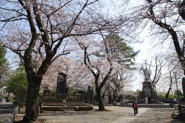 すぐ右脇には日蓮聖人説法像の周辺に桜のアーチがあります。