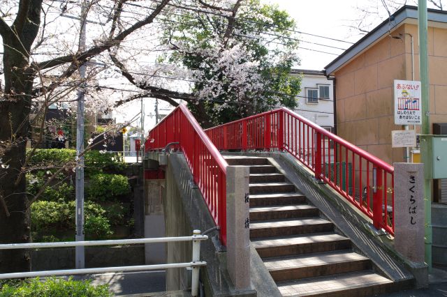 赤い欄干の「桜橋」が架かっています。