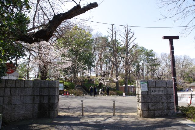 多摩川駅付近の住宅街に隣接する川沿いの台地に公園があります。