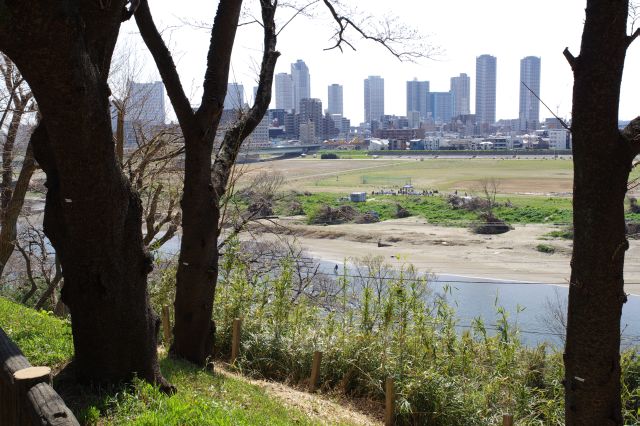 展望広場からは多摩川の河原や武蔵小杉のタワーマンション群が見渡せます。