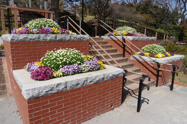 階段と鮮やかな花々。