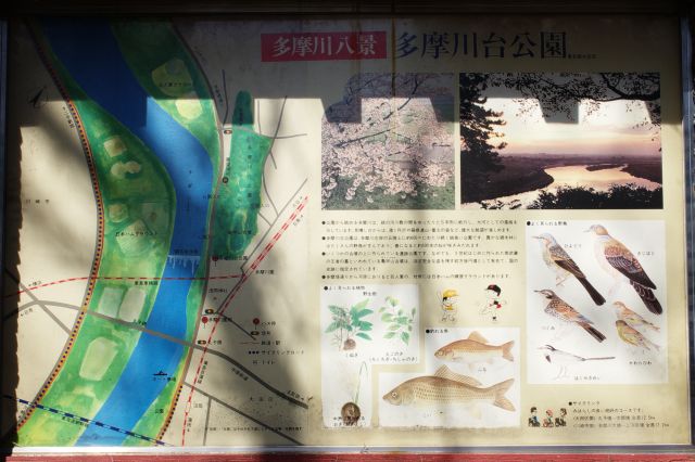 多摩川台公園の解説。