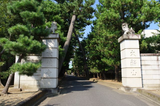 門の先は松並木の参道が続きます。