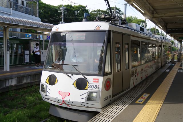 宮の坂駅にて、豪徳寺の招き猫をモチーフにした電車が来ました。