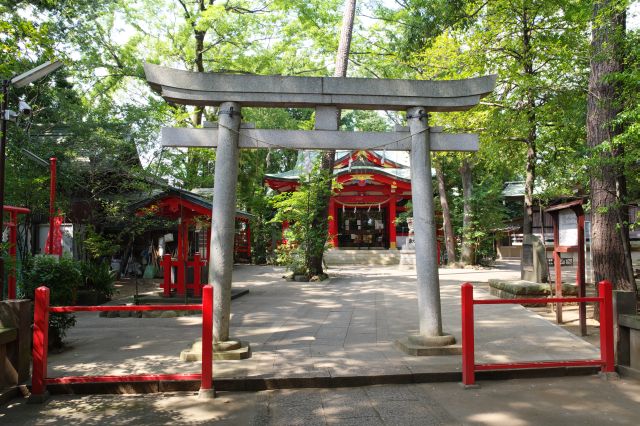 赤堤六所神社の写真ページ