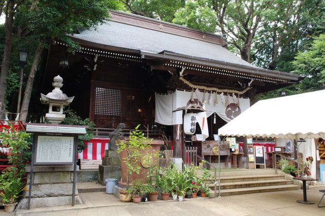 太子堂八幡神社の写真ページ