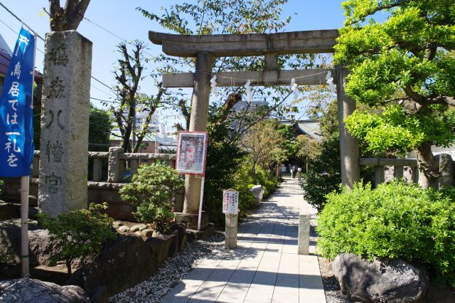 鳩森八幡神社の写真ページ