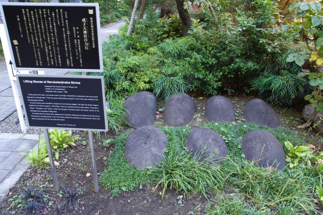 力石は新宿区指定有形民俗文化財。