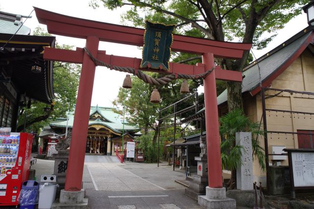 四谷須賀神社の写真ページ