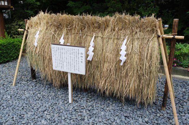 右側、神様にお供えするための米が田んぼで作られ収穫されたもの。奥の水路からは水の流れる音がします。