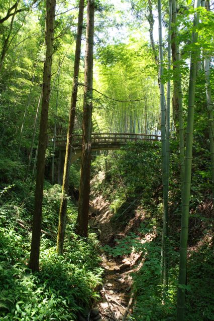 右側に竹林と通行止めになっている橋。