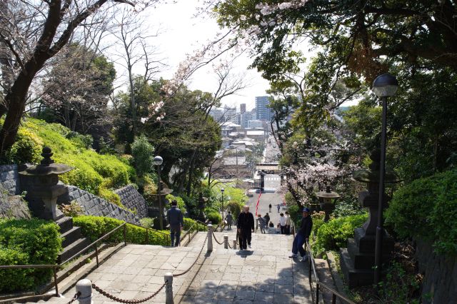 高さのある急階段を上り丘の上の境内エリアへ。