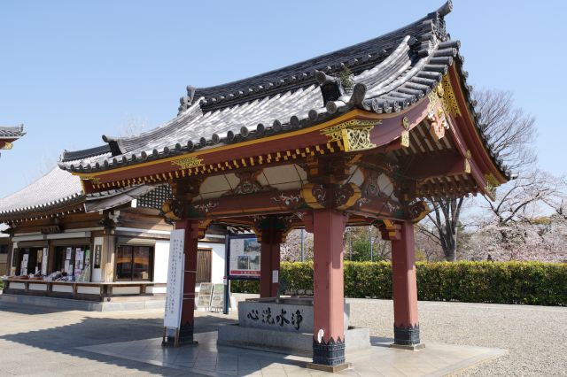 右手に手水舎。