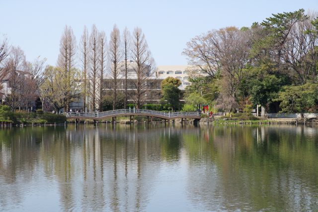 奥には池月橋。