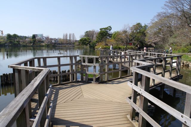 池の上の遊歩道へ。