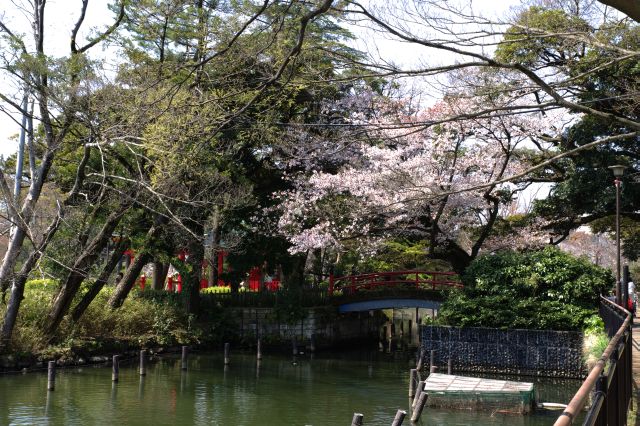 池の北側には池に突き出た弁天島があります。