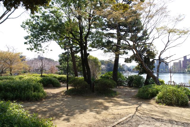 池に突き出た弁天島の左側。