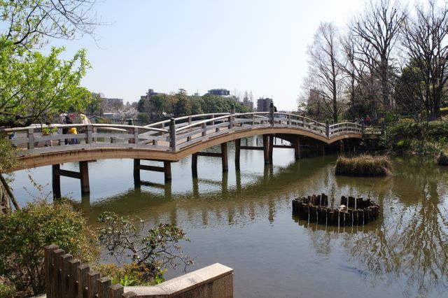 池月橋は三連太鼓橋。