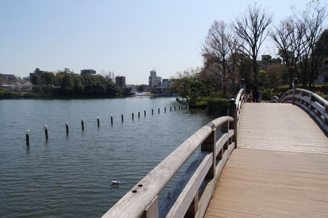 池月橋を渡ります。