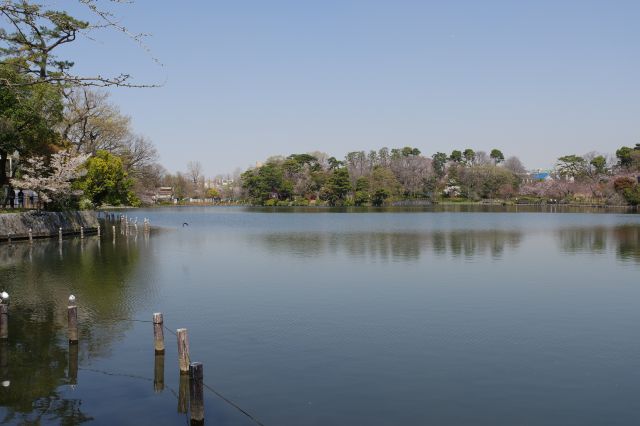 自然を感じられる爽快な公園でした。