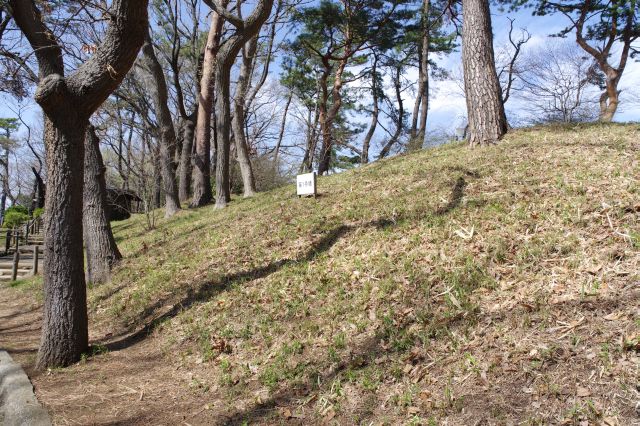 散策路脇の盛り上がった丘は第1号古墳。