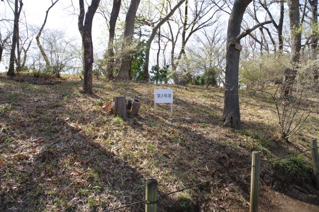 第3号古墳。自然豊かで心地よい散策路を進みます。