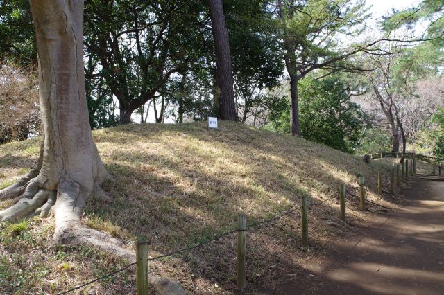 第7号古墳。ここまで古墳が連続していました。