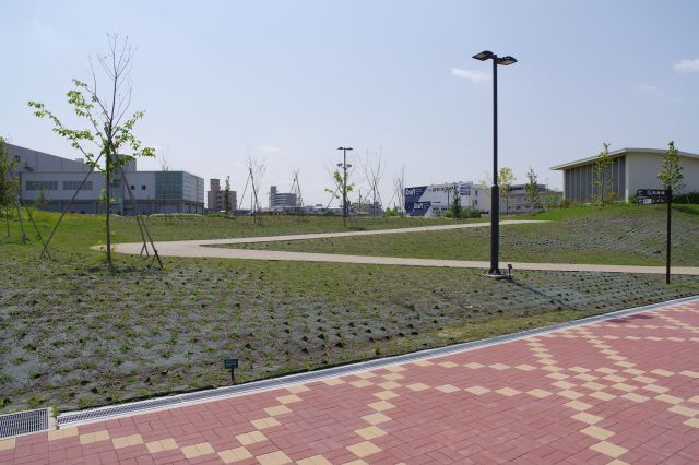 左側には露橋水処理センターの上部空間を利用した新しい公園の広場があります。人は少なく閑散としています。