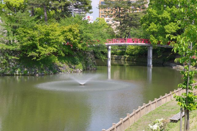 龍城堀の噴水の先に朱色の神橋が見えます。池の水を抜く番組で観た場所です。