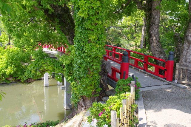 神橋へ進みます。木々に囲まれた入口。
