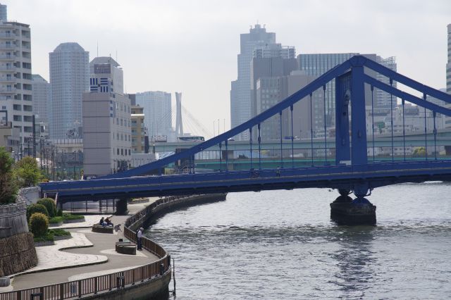 川沿いの遊歩道は人々が憩う。奥には石川島の中央大橋。