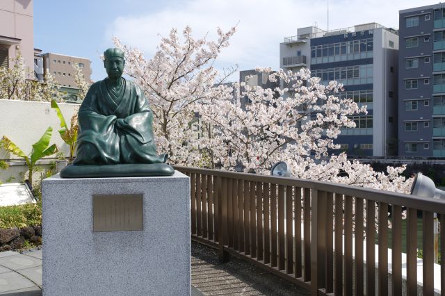 芭蕉翁像の背後の小名木川沿いに桜の木があります。