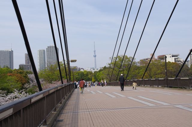 橋の中央付近より。人々が行き交います。東京スカイツリーがちょうど目前に見えます。