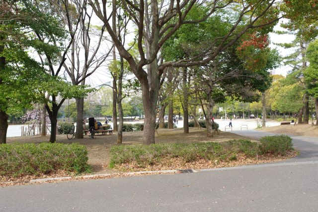 公園の一番奥、多目的広場のグランドも子供達が遊びます。