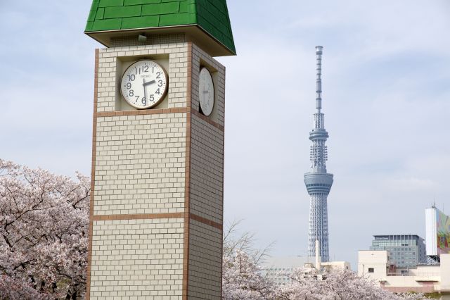 時計塔と東京スカイツリー。